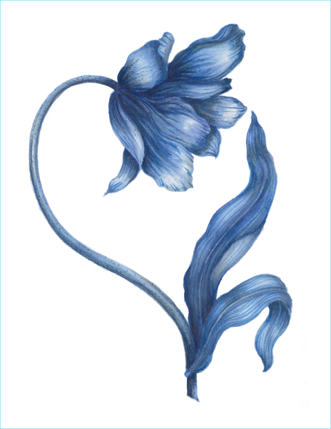 50 Plumes Bleu Camaïeu – 10 Cm – Pour Décorations, Créations DIY Et Loisirs Créatifs